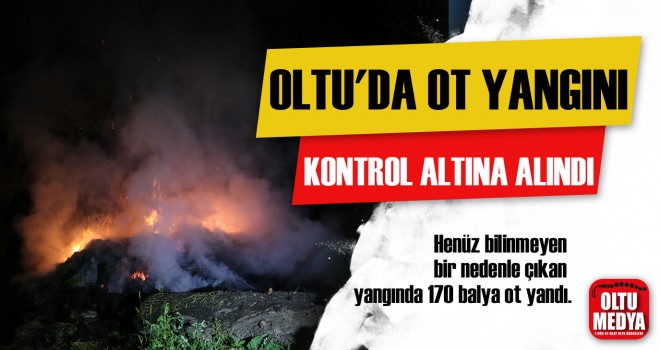 Oltu'daki ot yangını itfaiye ekiplerince söndürüldü