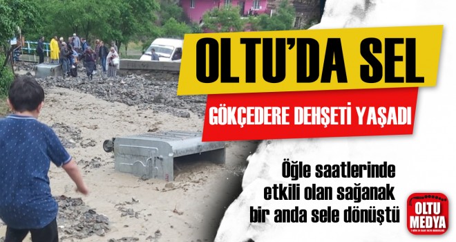 Oltu'da sağanak yüzünden mahalle yolu kapandı, tarım alanları zarar gördü
