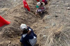 Oltu'da Şehit ve Gazilerimiz için Fidan Dikildi