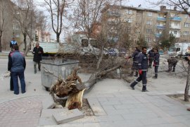 Çatılar Uçtu, Ağaçlar Yolu Kapattı, Bazı Otomobiller Hasar Gördü!