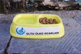 Ülkü Ocakları sokak hayvanlarını unutmadı