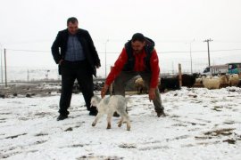 Mart Karı Erzurum’u Esir Aldı!