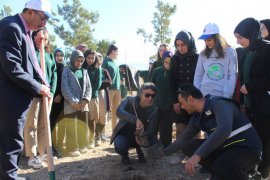 Daha Yeşil Bir Oltu İçin Binlerce Fidan dikildi