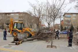 Çatılar Uçtu, Ağaçlar Yolu Kapattı, Bazı Otomobiller Hasar Gördü!