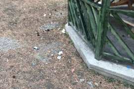 Hakan Öğretmen doğa için seferber oldu