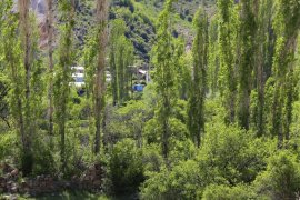 Oltu’ya bağlı İğdeli Mahallesi karantinaya alındı