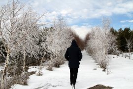 Çığ Gelen Erzurum-Bingöl Karayolu Ulaşıma Açıldı!