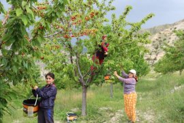İftarlık Kirazlar 'Sakin Şehir'den!