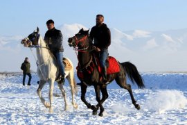 Cirit atlarının kar üstündeki dansı
