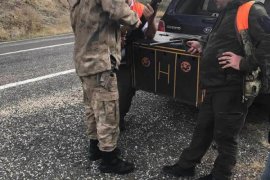 Oltu Kaymakamlığı'ndan kaçak ve aşırı avlanmaya önlem