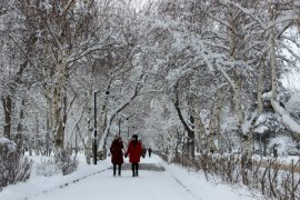 Erzurum'da kar yağışı, buzlanma ve tipi etkili oluyor