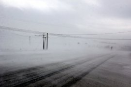 Erzurum’da Tipi Hayatı Felç Etti!