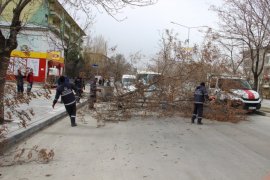 Çatılar Uçtu, Ağaçlar Yolu Kapattı, Bazı Otomobiller Hasar Gördü!