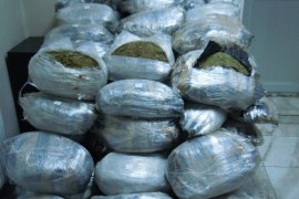 Erzurum’da 190 Kilogram Esrar Ele Geçirildi!