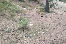 Hakan Öğretmen doğa için seferber oldu