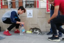 Ülkü Ocakları sokak hayvanlarını unutmadı
