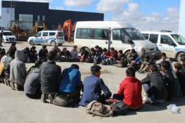 12 Kişilik Minibüsten 42 Kaçak Göçmen Çıktı!