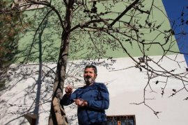 Erzurum'da kış, ilçesi Olur'da bahar havası
