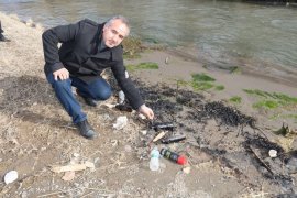 Oltu'daki Balık ve Kuş Ölümleri Araştırılıyor!