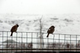 Mart Karı Erzurum’u Esir Aldı!