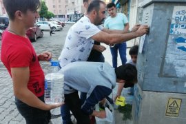 Ülkü Ocakları sokak hayvanlarını unutmadı