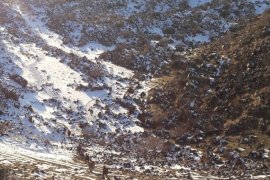 Ağrı’da 3 Terörist Etkisiz Hale Getirildi!