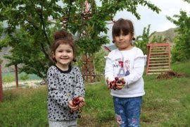 İftarlık Kirazlar 'Sakin Şehir'den!
