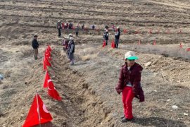 Oltu'da Şehit ve Gazilerimiz için Fidan Dikildi