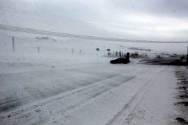 Erzurum’da Tipi Hayatı Felç Etti!