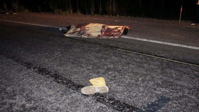 Oltu'da Otomobil Eşeğe Çarptı: 1 Ölü