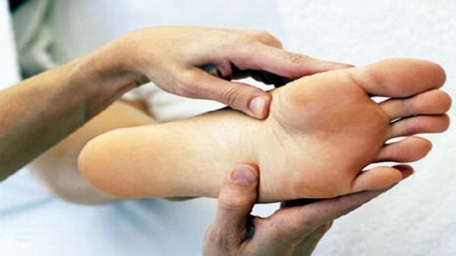 Yazın Serin Geçtiği Doğu'da Ayak Mantarı Daha Yaygın