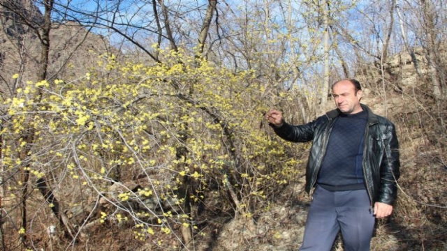 Her Yerde Kar, Oltu'da Bahar