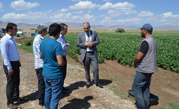 Sertifikalı Tohumla 'Kartol' Bir Başka Olacak