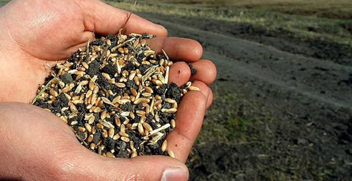 Çiftçilere Tohum Desteği Uyarısı