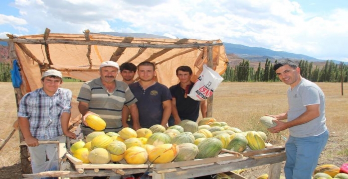 Dutlu Kavunu Pazarda