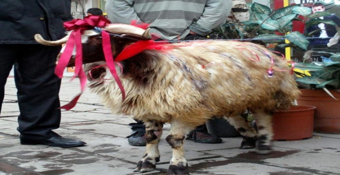 Erzurum'da Evlilik Gelenekleri Korunuyor