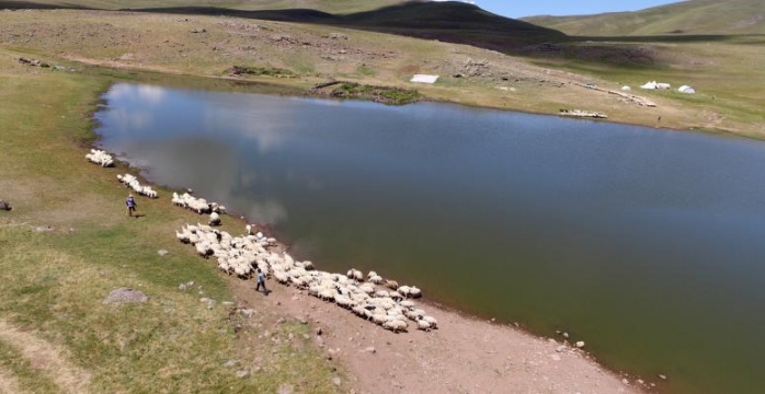 Erzurum'un Göletleri Çiftçinin Yüzünü Güldürdü