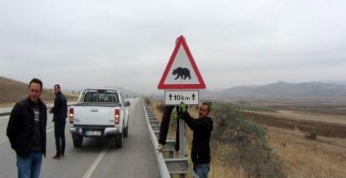 Erzurum-Erzincan Karayolu'na 'Boz Ayı' Uyarı Tabelası Konuldu!