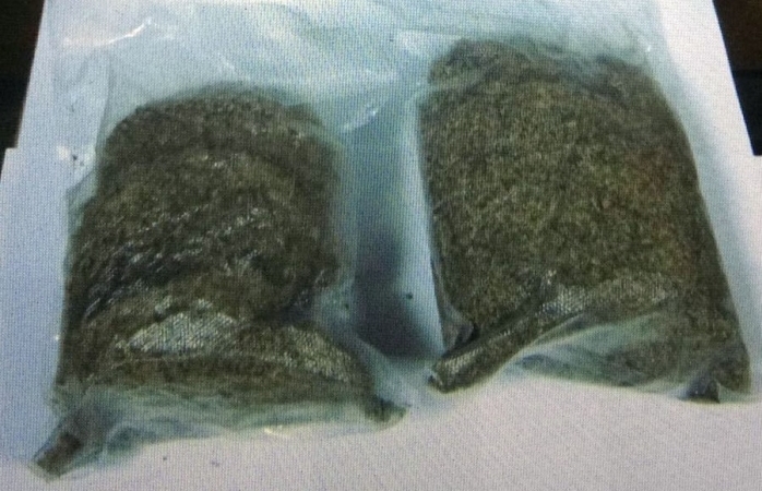 Erzurum’da Bonzai Operasyonu!