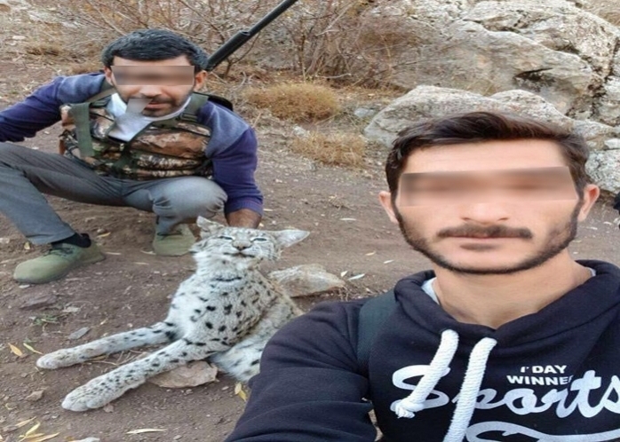 Vaşağı Öldüren Kaçak Avcılara Ceza Yağdı!