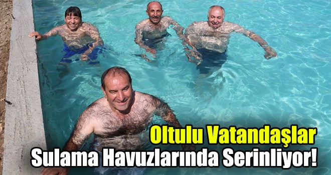 Oltulu Vatandaşlar, Sulama Havuzlarında Serinliyor!