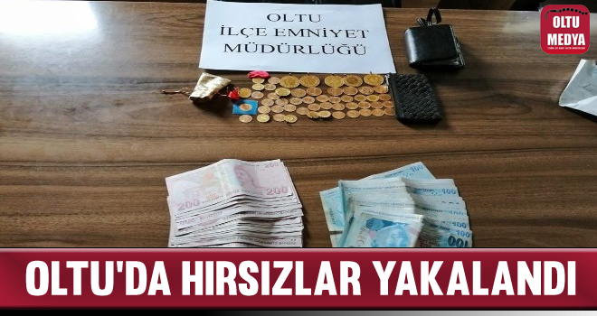 50 Bin Lira Değerinde Para ve Altın Çalan Hırsızlar Yakalandı