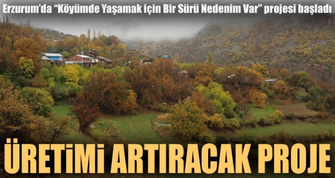 Erzurum'da üretimi artıracak proje...