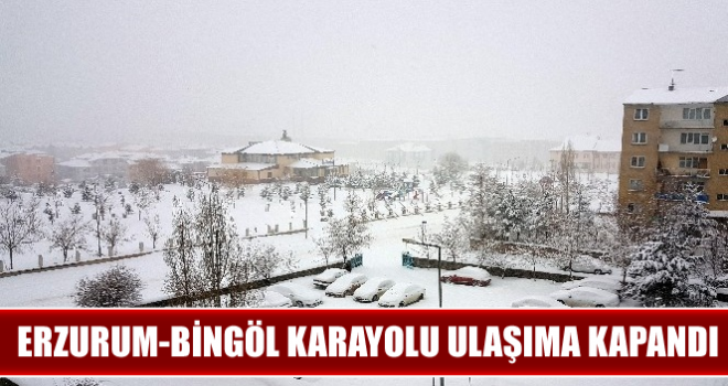 Erzurum-Bingöl karayolu çığ düşmesi sonucu ulaşıma kapandı