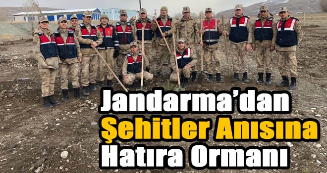 Jandarma’dan Şehitler anısına hatıra ormanı