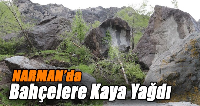Narman'da Bahçelere Kaya Yağdı!