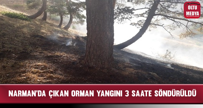 Narman'da Çıkan Orman Yangını 3 Saat Sonunda Söndürüldü