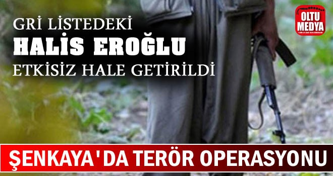 İçişleri Bakanlığı: 'Gri listedeki Hejar kod adlı Halis Eroğlu, Erzurum'da etkisiz hale getirildi'