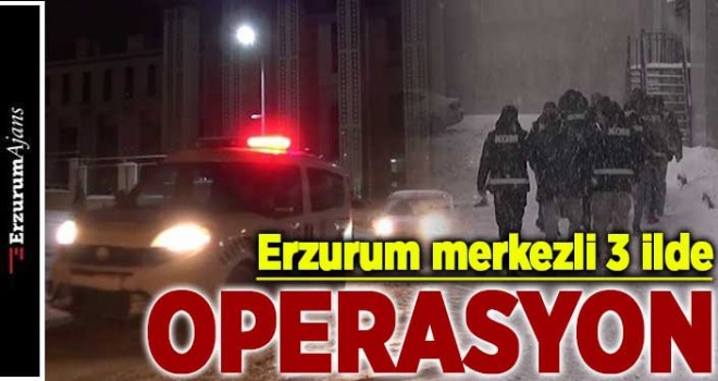 Erzurum merkezli sigara kaçakçılığı operasyonu