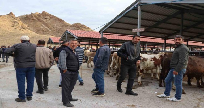 Oltu'da Hayvan Pazarı Canlılığı